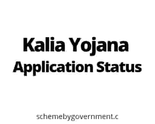 KALIA Yojana Application Status 2021