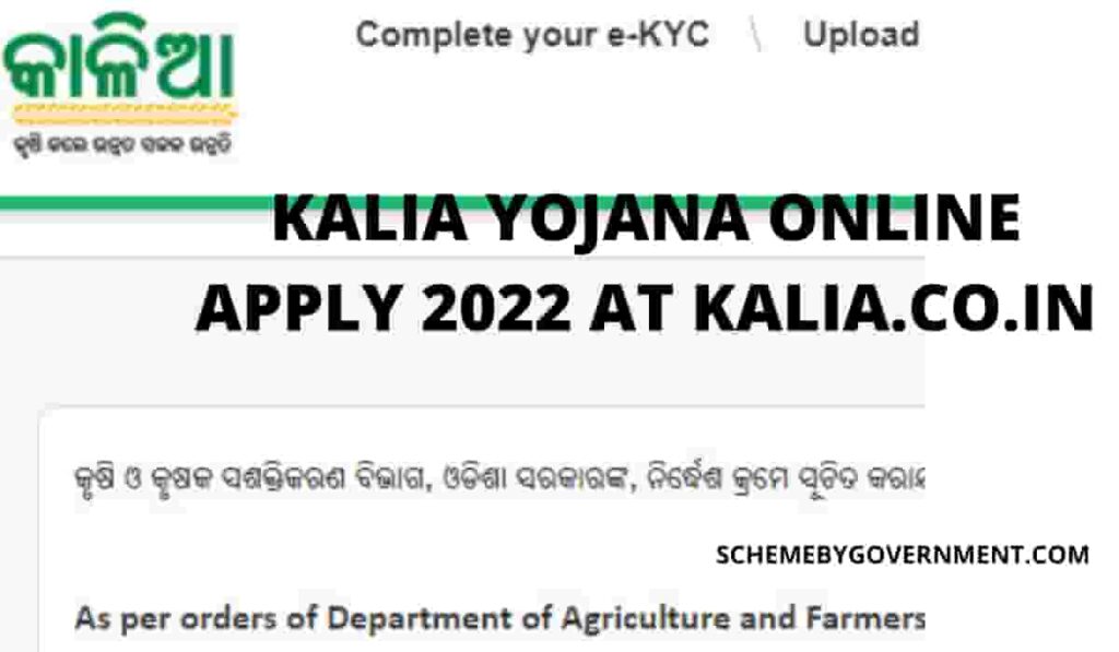 Kalia Yojana Online Apply 2022